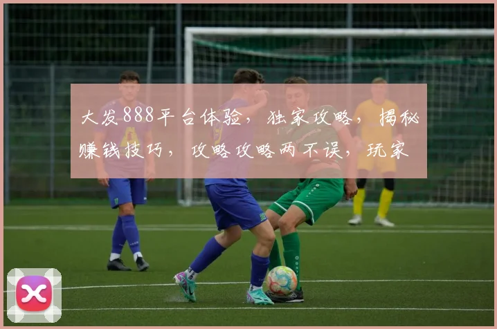 大发888平台体验，独家攻略，揭秘赚钱技巧，攻略攻略两不误，玩家必看