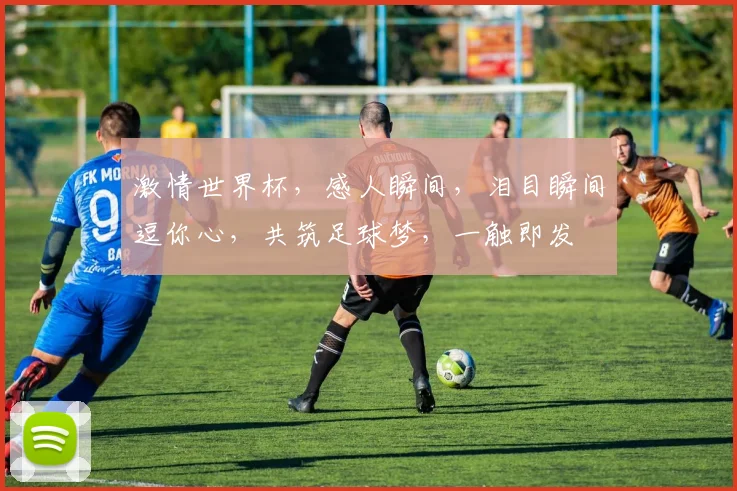 激情世界杯，感人瞬间，泪目瞬间逗你心，共筑足球梦，一触即发