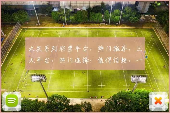 大发系列彩票平台，热门推荐，三大平台，热门选择，值得信赖，一网打尽