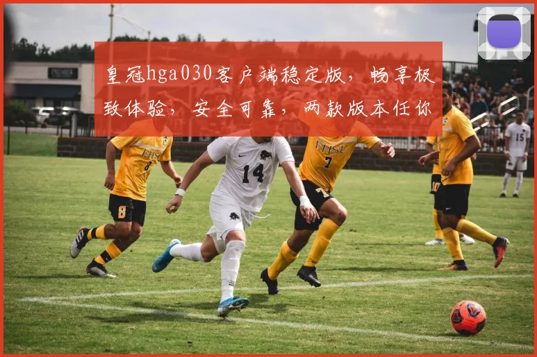 皇冠hga030客户端稳定版，畅享极致体验，安全可靠，两款版本任你选，轻松畅游