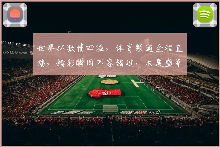 世界杯激情四溢，体育频道全程直播，精彩瞬间不容错过，共襄盛举